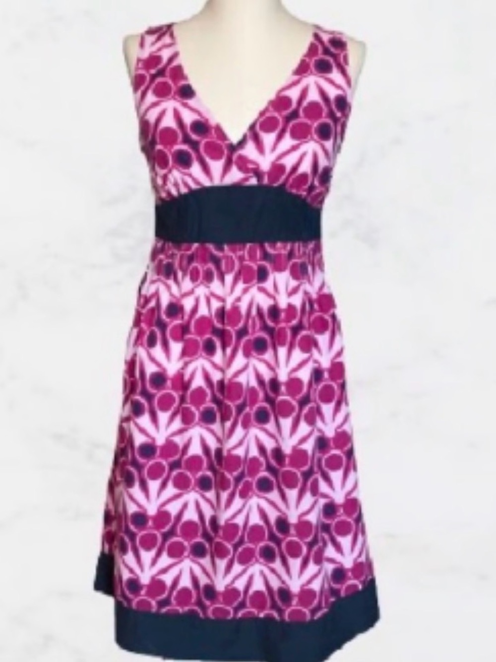 The North Face Women’s Linen Cotton Blend Liberty Pink Aline Dress Sz L